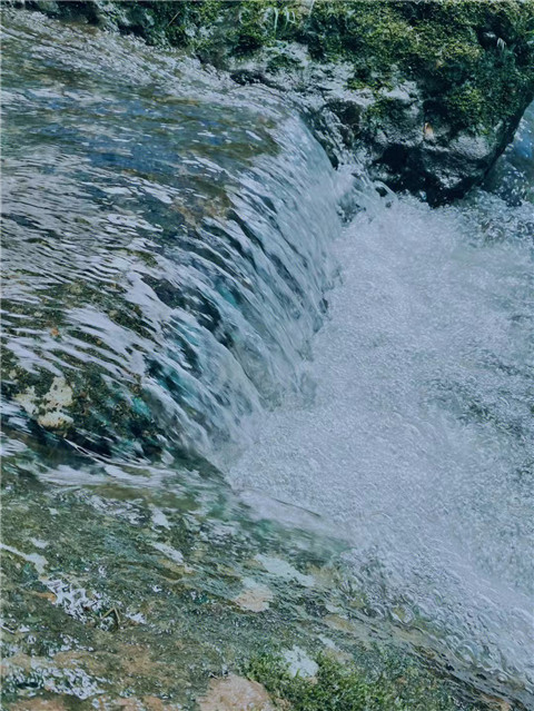 微信圖片_20230514235300