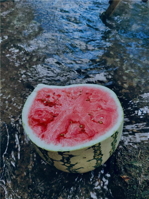 微信圖片_20230514235256