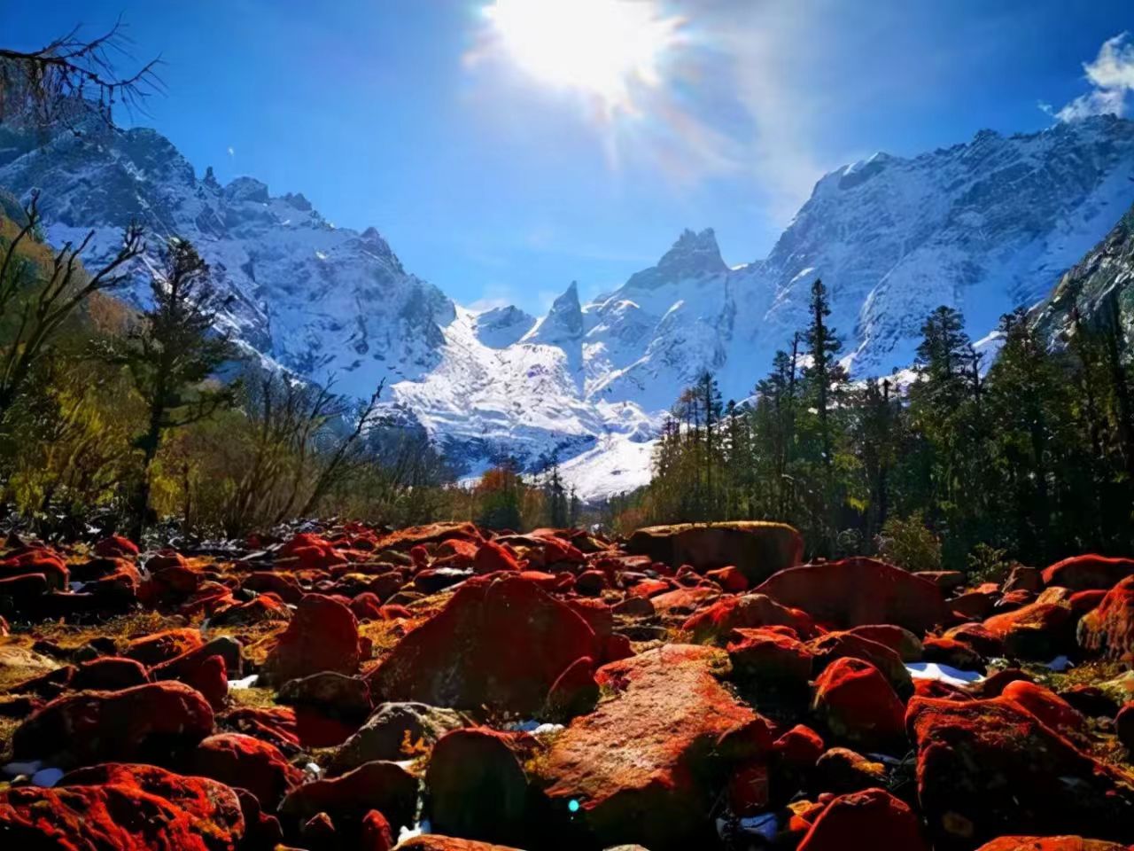 微信圖片_20241014093220