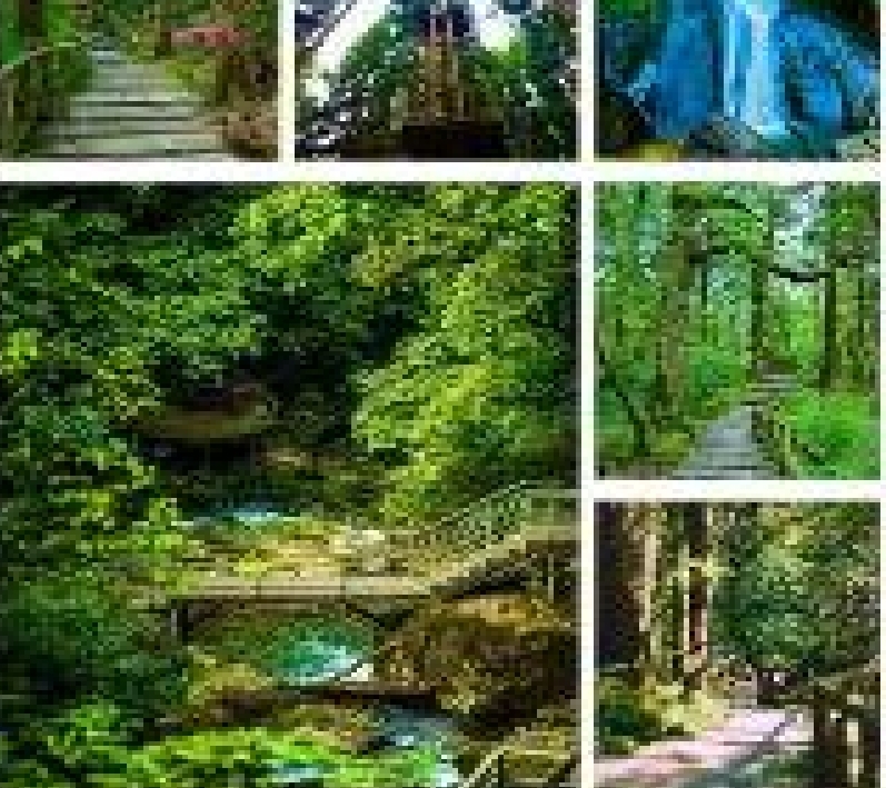 微信圖片_20250702224806