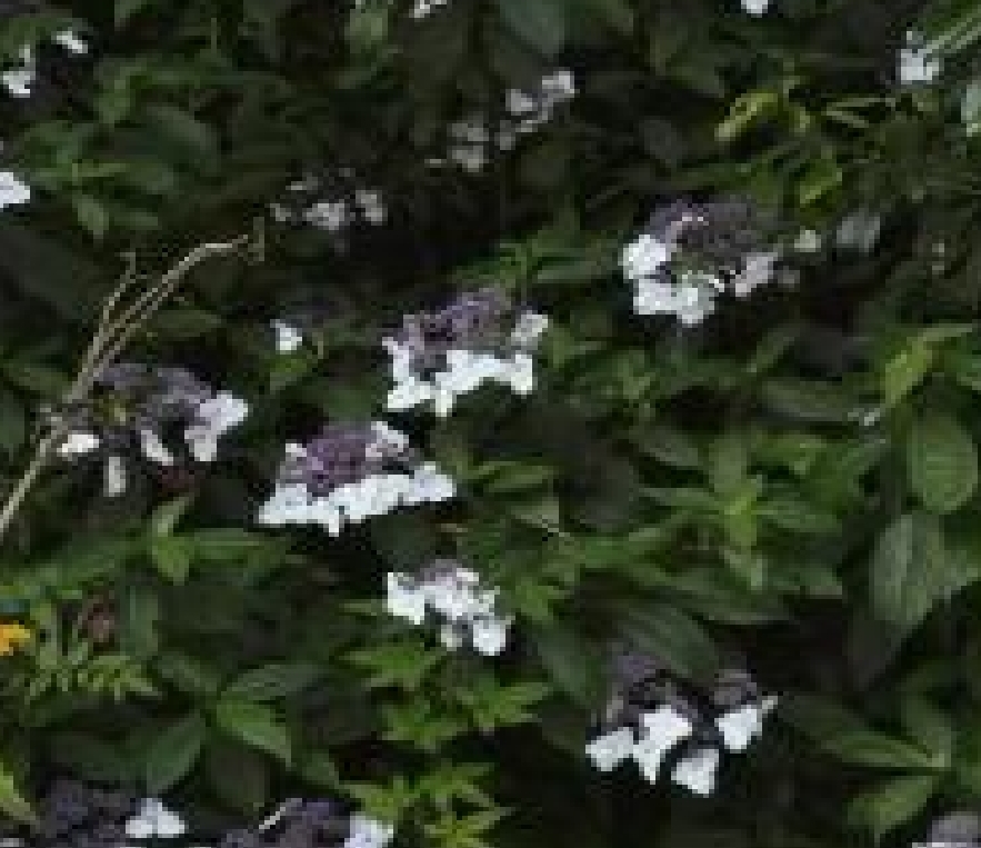 微信圖片_20250702224759