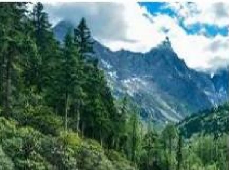 微信圖片_20250717231402