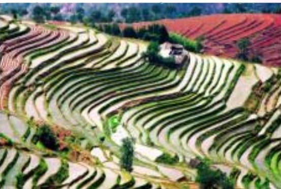 微信圖片_20251008105752_398_1