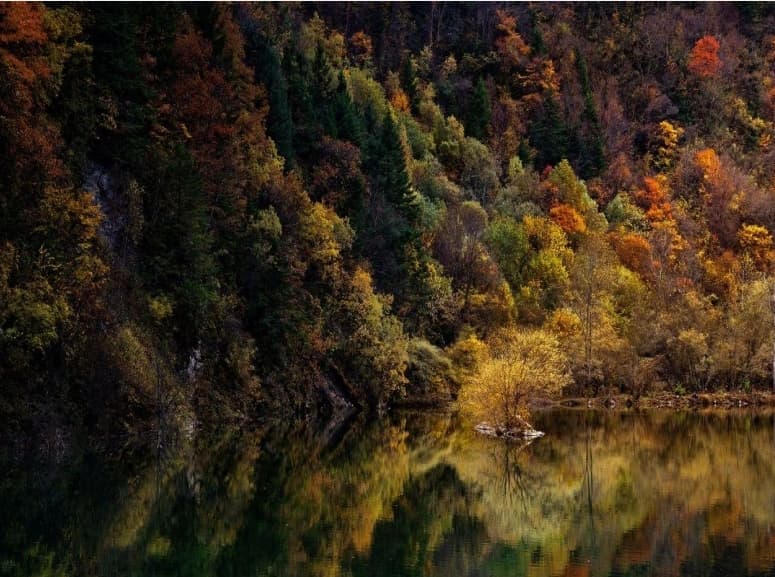 微信圖片_20251021230139_48_1