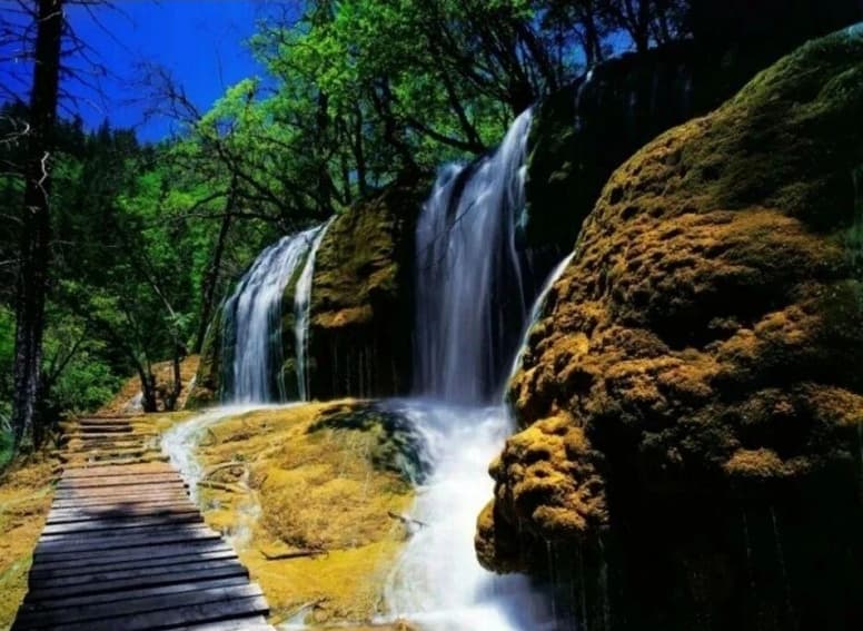 微信圖片_20251021230134_44_1