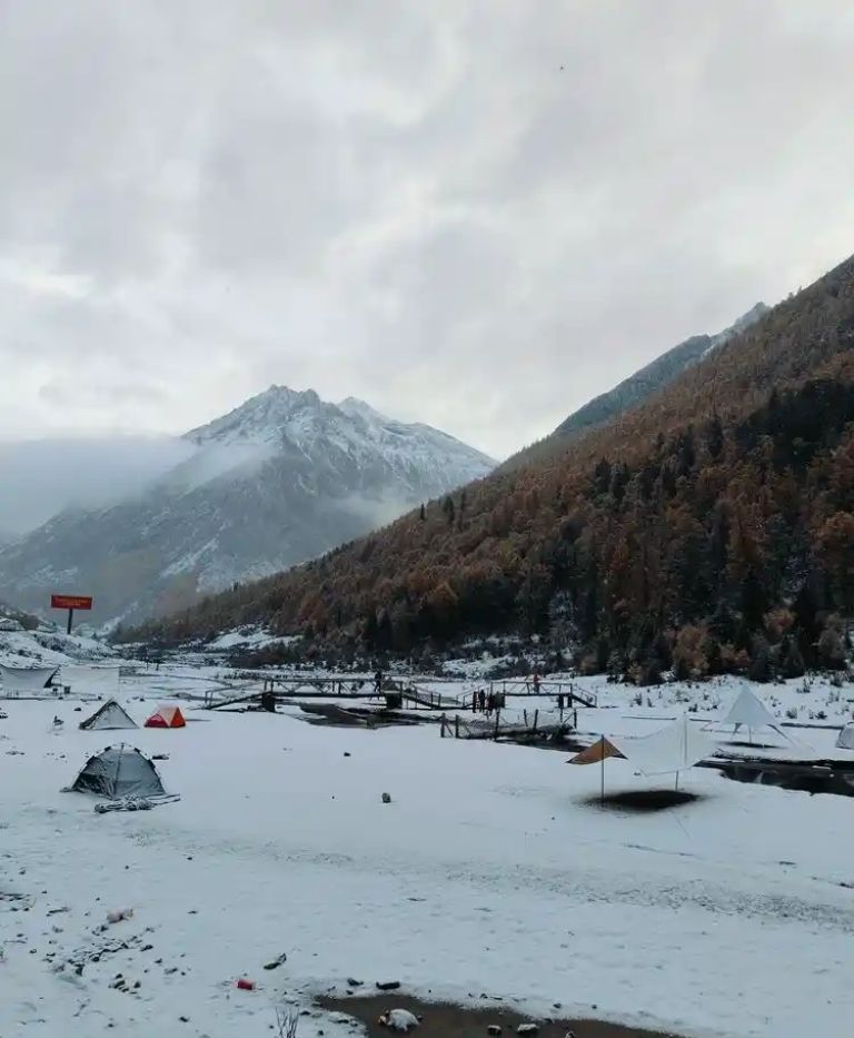 微信圖片_20251103205951_188_1