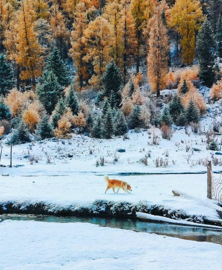 微信圖片_20251103205956_190_1