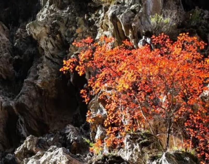 微信圖片_20251105221938_211_1