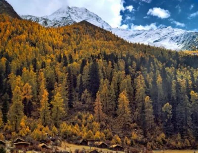 微信圖片_20251105221934_207_1