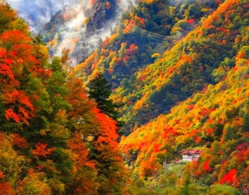 微信圖片_20251105221935_208_1