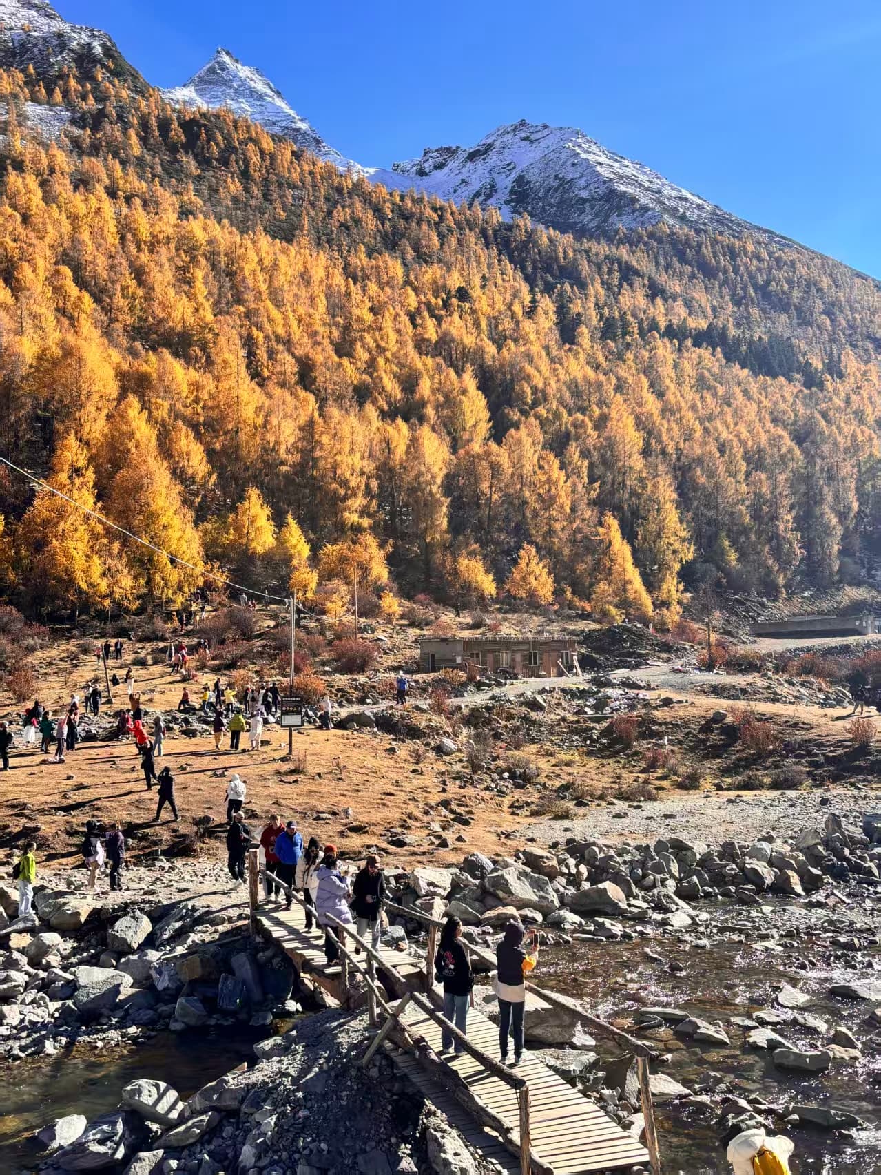 微信圖片_20251105221945_216_1