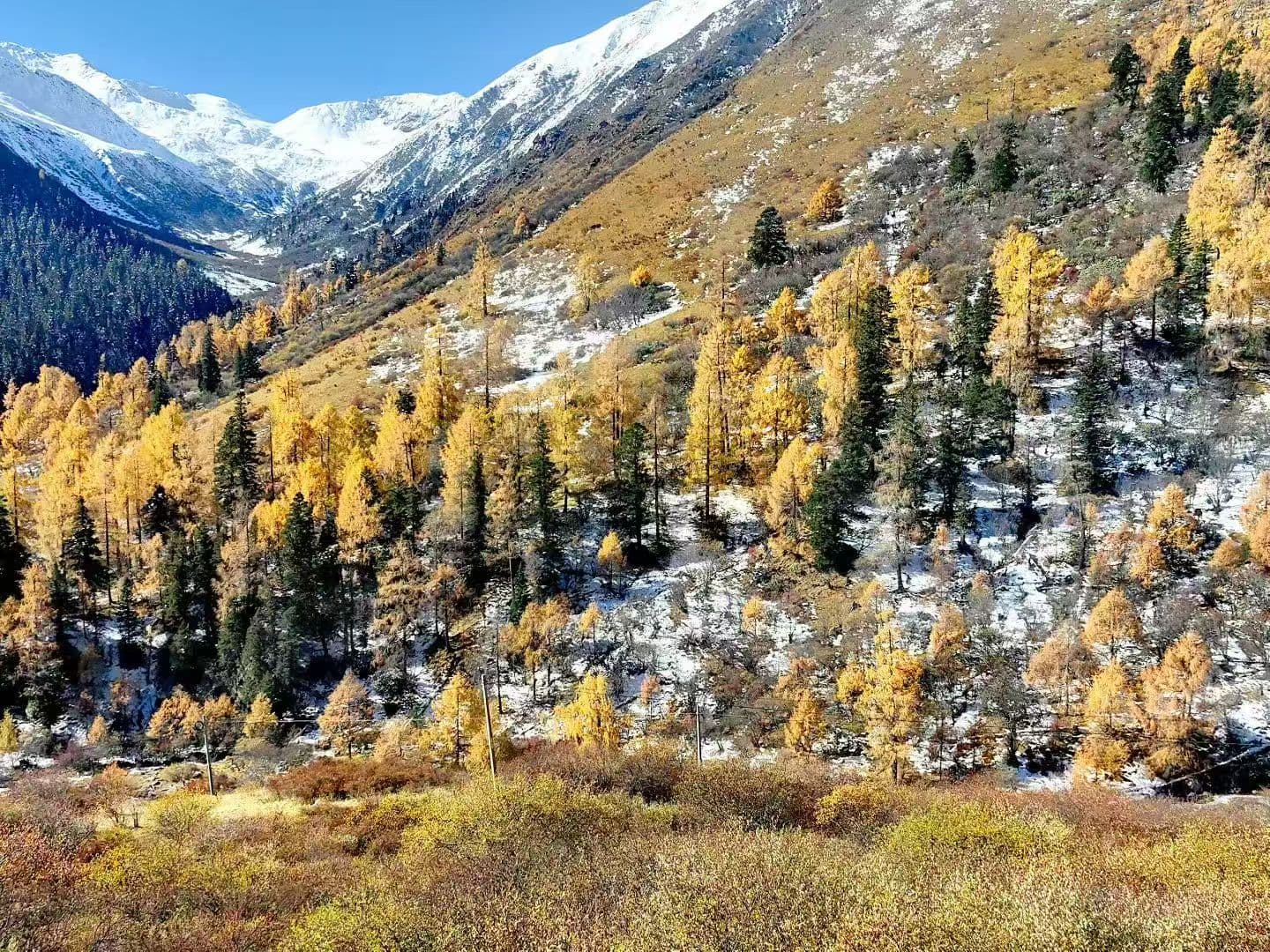 微信圖片_20251105221941_213_1