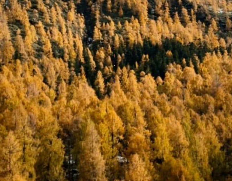 微信圖片_20251105221933_206_1