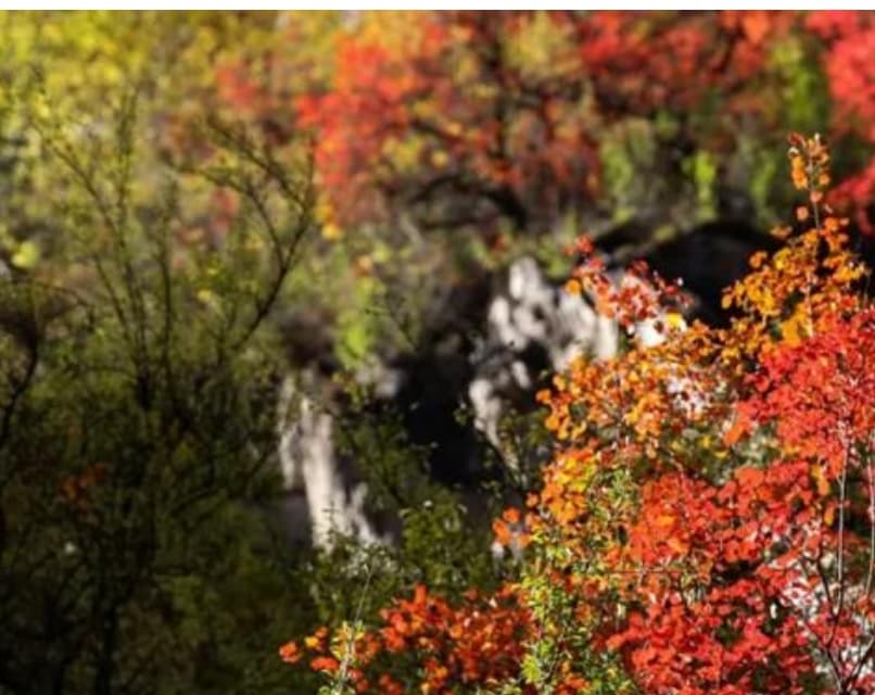 微信圖片_20251105221937_210_1