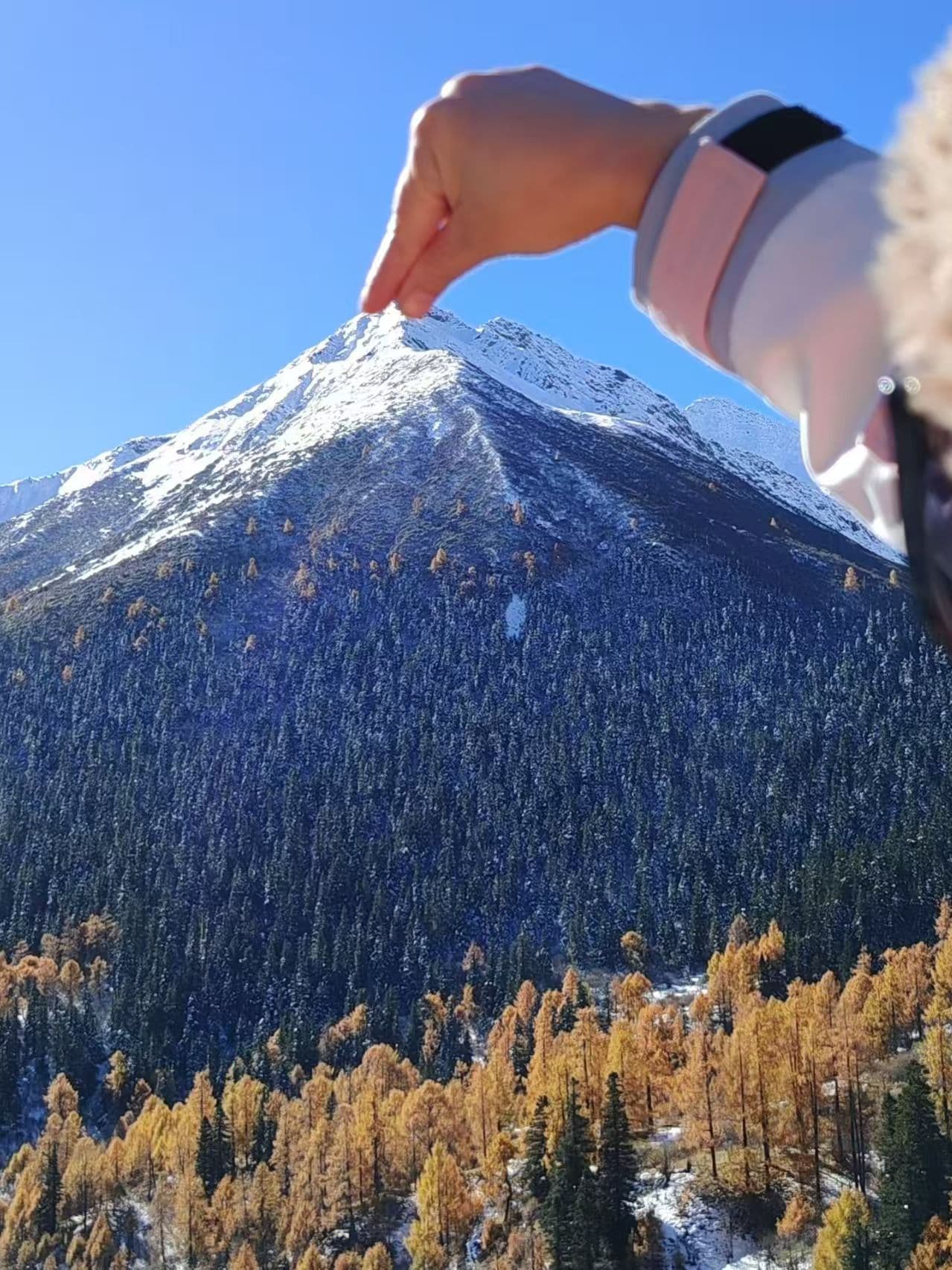 微信圖片_20251105221942_214_1