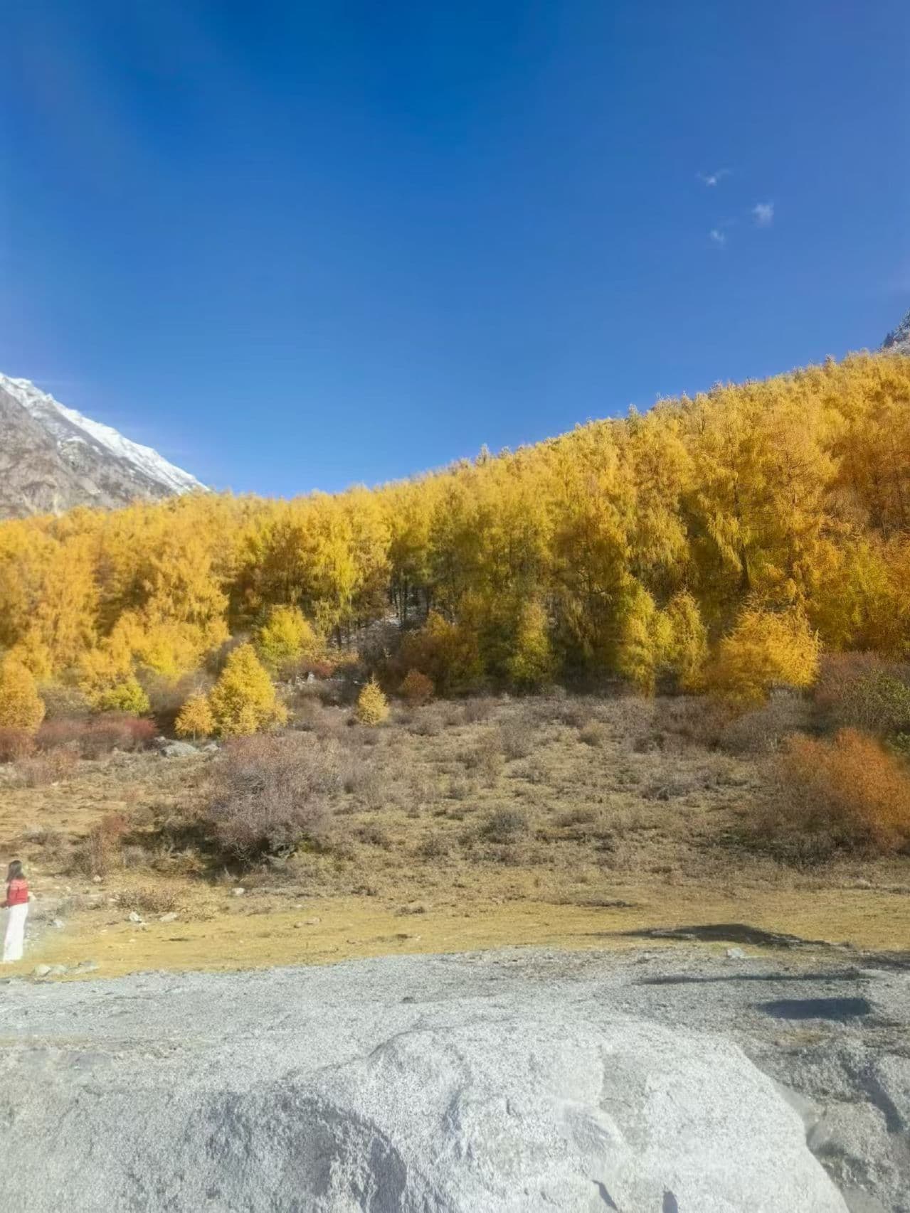 微信圖片_20251105221943_215_1