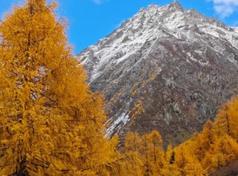 微信圖片_20251105221932_205_1