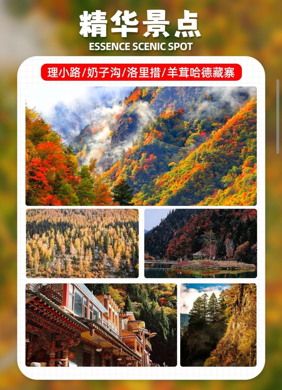 微信圖片_20251105221931_204_1