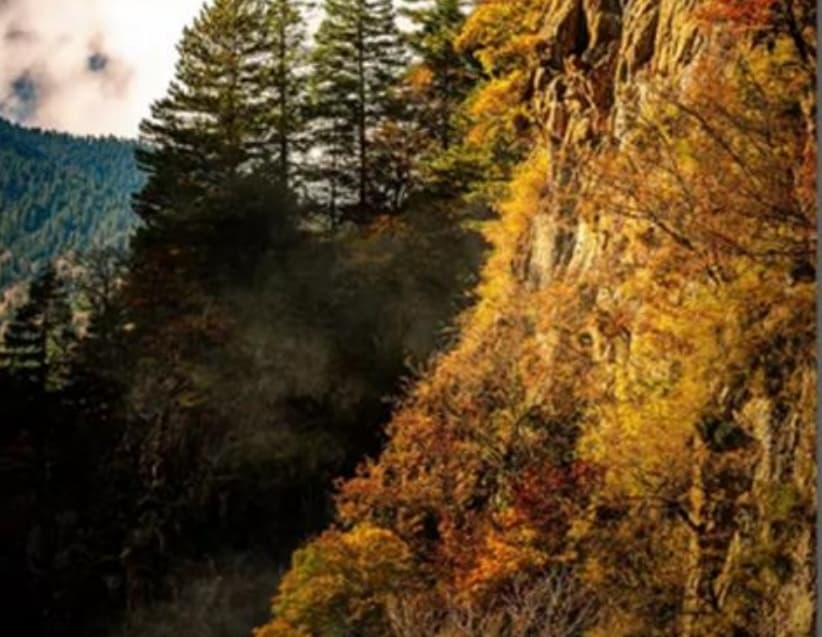 微信圖片_20251105221936_209_1