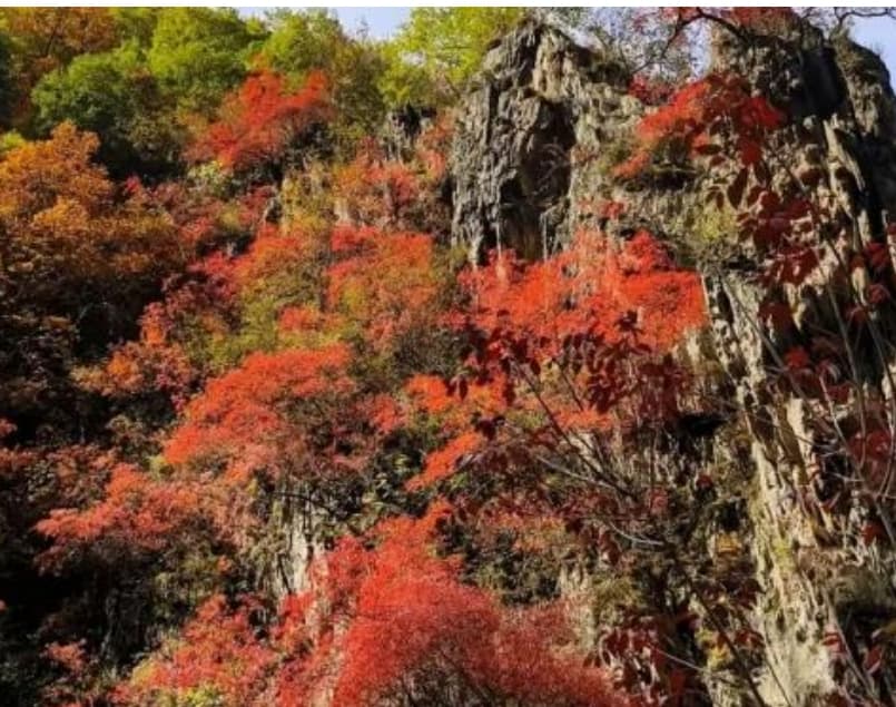 微信圖片_20251105221940_212_1