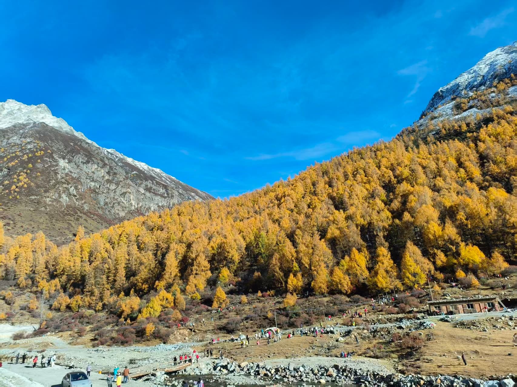 微信圖片_20251105221947_218_1